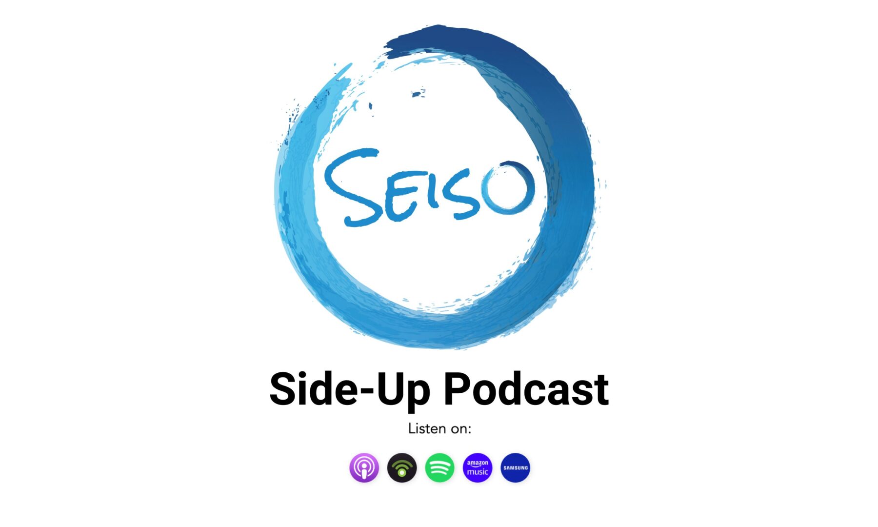 The Seiso Side-Up Podcast Cybersecurity, security strategy, business development, information risk management. Cloud, data security, consultants, Pittsburgh, PA